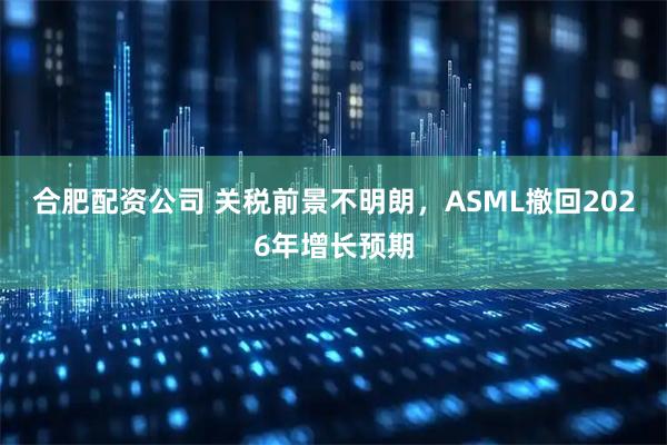 合肥配资公司 关税前景不明朗，ASML撤回2026年增长预期